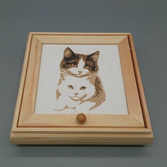 Boite à bijoux chats complices