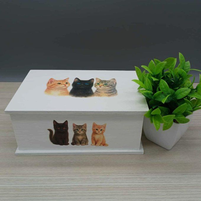 Boite à trésors Chatons