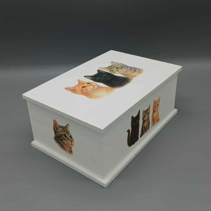 Boite à trésors Chatons