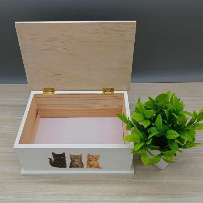 Boite à trésors Chatons