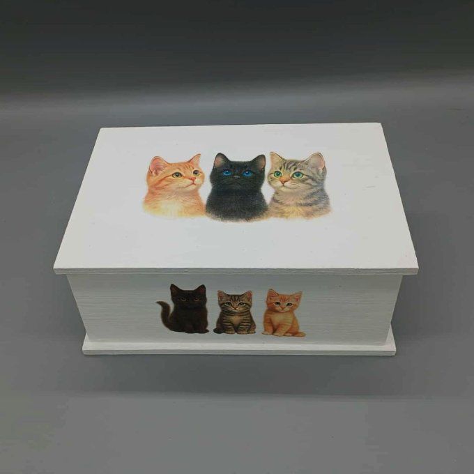 Boite à trésors Chatons
