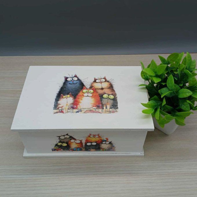 Boite à trésors Chats farfelus