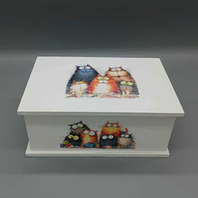 Boite à trésors Chats farfelus