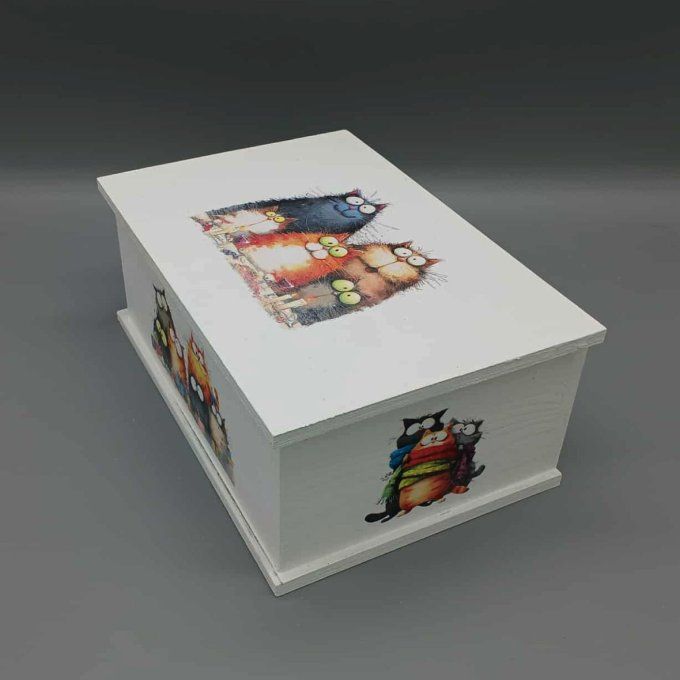 Boite à trésors Chats farfelus