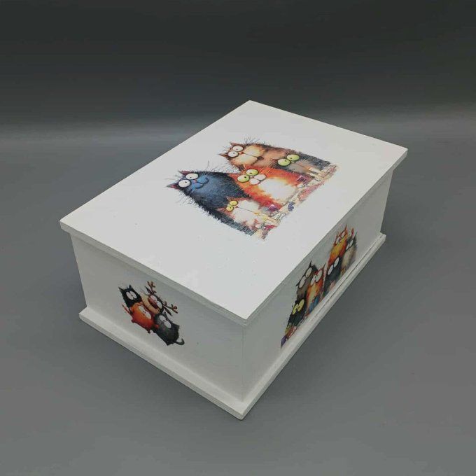 Boite à trésors Chats farfelus