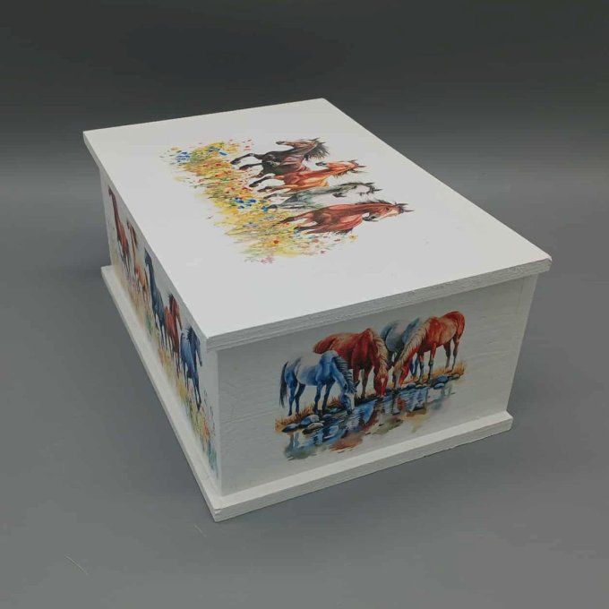 Boite à trésors Galop en liberté