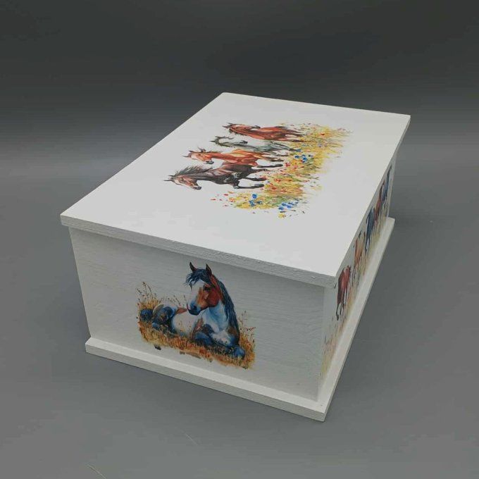 Boite à trésors Galop en liberté