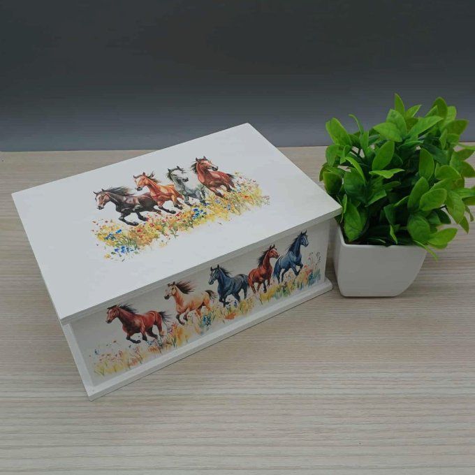 Boite à trésors Galop en liberté