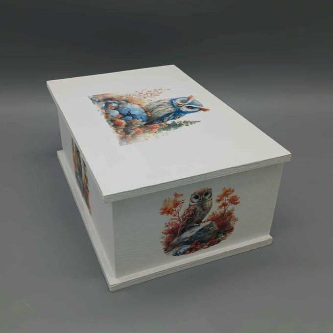 Boite à trésors Veille de la forêt