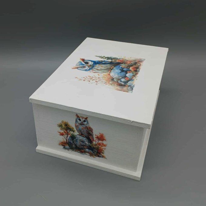 Boite à trésors Veille de la forêt