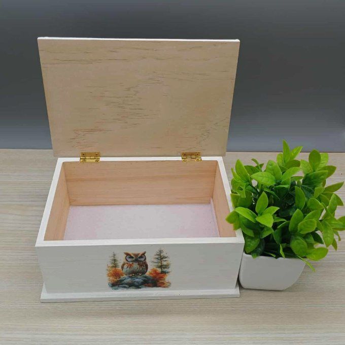 Boite à trésors Veille de la forêt