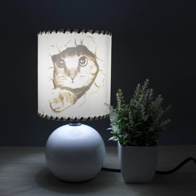 Lampe Chat surprise pied blanc allumée