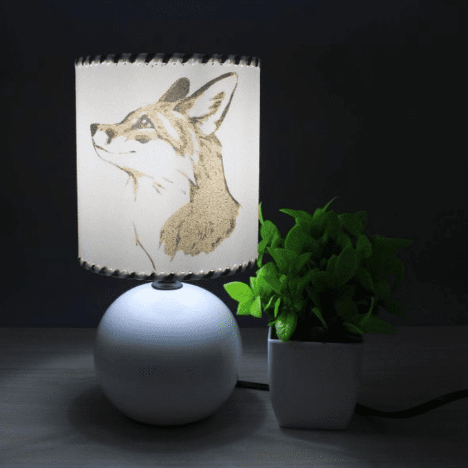Lampe Renard au pied blanc allumée