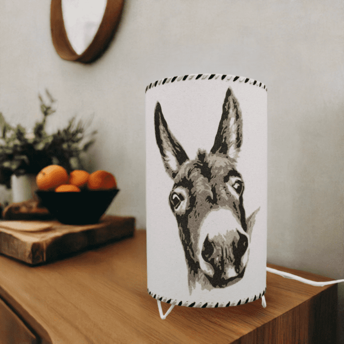 Lampe artisanale âne, déco chaleureuse