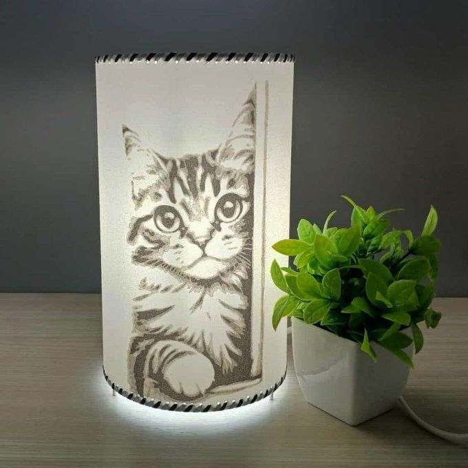 Lampe cylindre en sable - Chat curieux