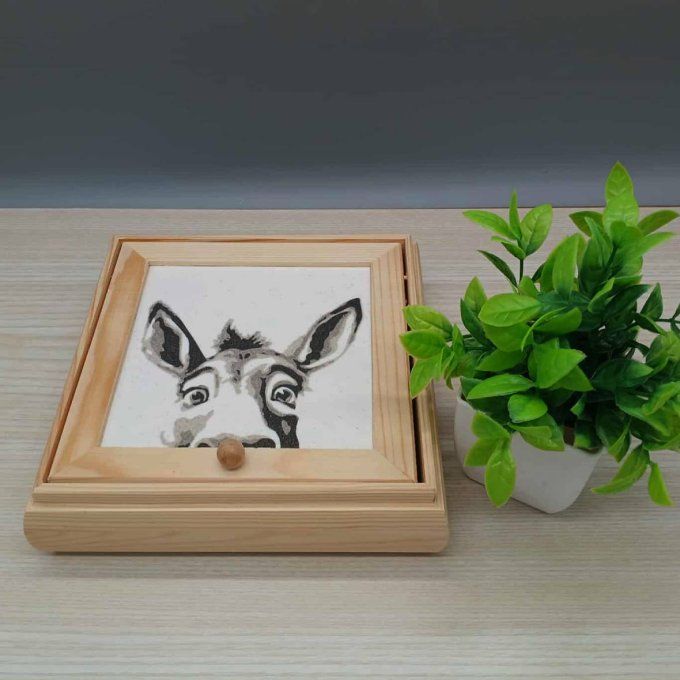 Boite à bijoux âne curieux