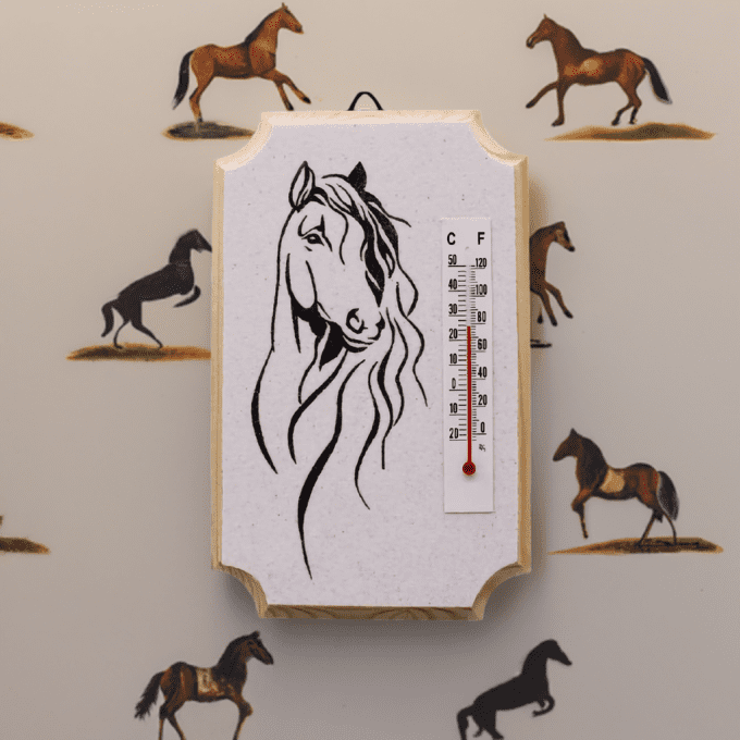 Thermomètre déco cheval mural silhouette noire idée cadeau cavalier enfant adulte