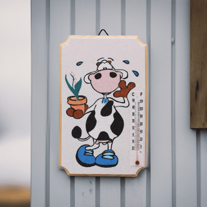 Thermomètre décoratif vache rigolote avec sabot et pot de fleurs – Cadeau cuisine ferme